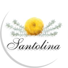 САНТОЛИНА ЛАНДШАФТНЫЙ ДИЗАЙН