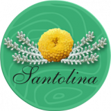 САНТОЛИНА ЛАНДШАФТ